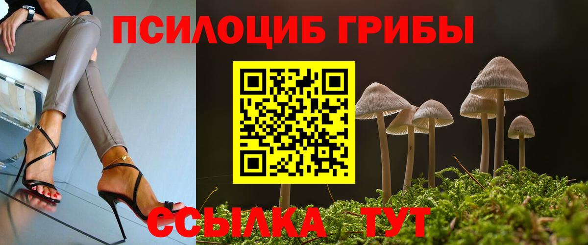 Кисловодск  дарнет шоп  Галлюциногенные грибы мухоморы  Вход с VPN  Псилоцибиновые грибы прущие грибы 